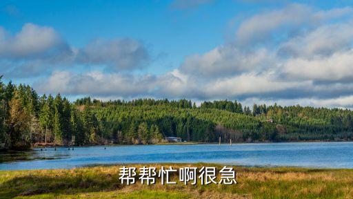 廣州同志023，請幫我看看