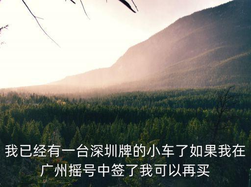 我已經(jīng)有一臺(tái)深圳牌的小車了如果我在廣州搖號(hào)中簽了我可以再買