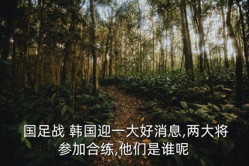  國足戰(zhàn) 韓國迎一大好消息,兩大將參加合練,他們是誰呢