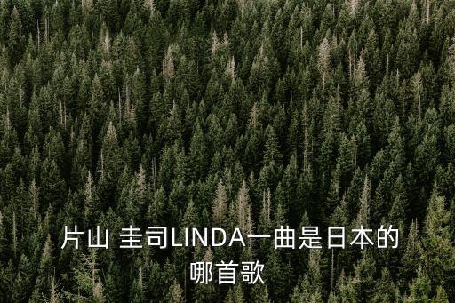 片山圭司,張學(xué)友一路上有你》是哪首歌?