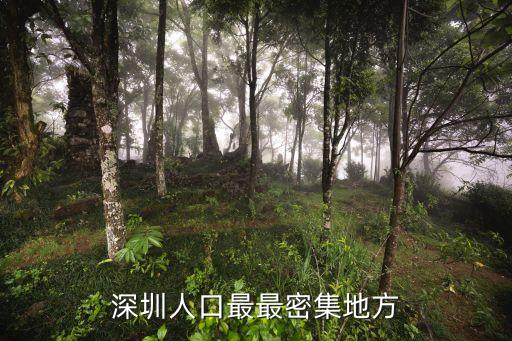 深圳人口密集分布圖，深圳現在哪些地方居住人口最密集呀