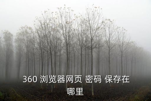 360瀏覽器保存的密碼怎么查看