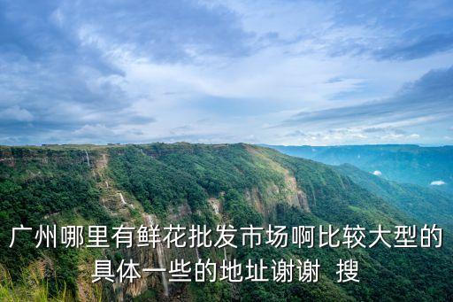 廣州哪里有鮮花批發市場啊比較大型的具體一些的地址謝謝  搜