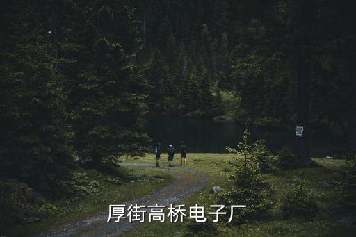 厚街高橋電子廠