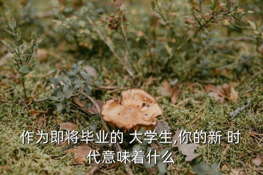 大學時代