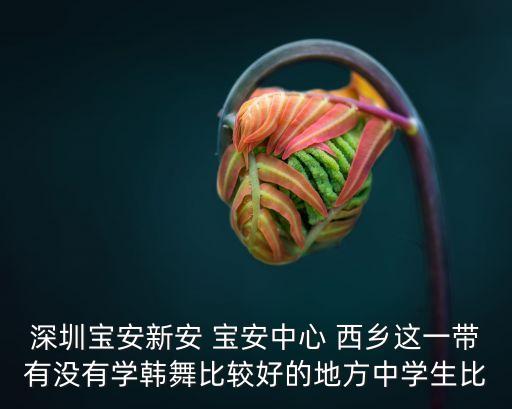 深圳學韓舞的地方，我想學習韓舞最好是在深圳市羅湖區的就是不知道地址我12周