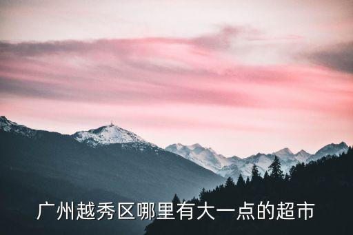 廣州越秀區哪里有大一點的超市