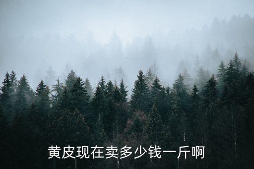深圳黃皮多少錢一斤，黃皮現(xiàn)在賣多少錢一斤啊
