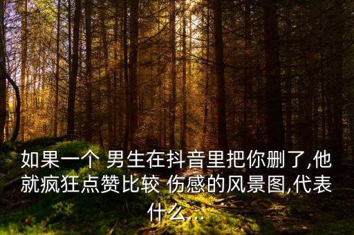 如果一個 男生在抖音里把你刪了,他就瘋狂點贊比較 傷感的風景圖,代表什么...