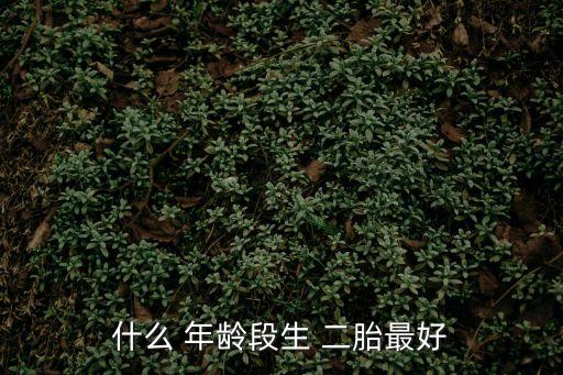 什么 年齡段生 二胎最好