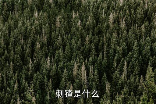 刺猹是什么
