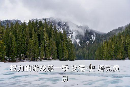 艾德史塔克,穿越時空之旅的精彩故事