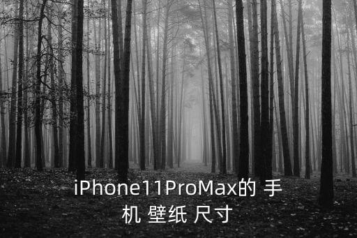蘋果手機壁紙尺寸,蘋果11手機壁紙尺寸