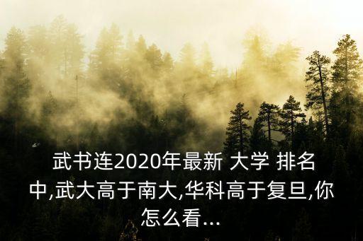  武書連2020年最新 大學 排名中,武大高于南大,華科高于復旦,你怎么看...