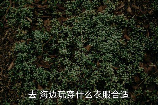 去 海邊玩穿什么衣服合適