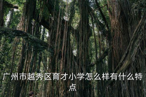 廣州市越秀區(qū)育才小學(xué)怎么樣有什么特點