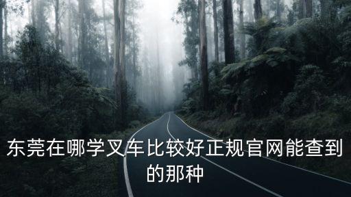 東莞市大朗景程叉車校區，東莞在哪學叉車比較好正規官網能查到的那種