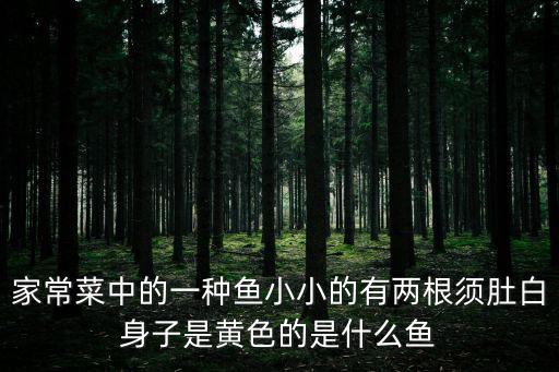 家常菜中的一種魚(yú)小小的有兩根須肚白身子是黃色的是什么魚(yú)