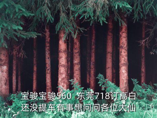 寶駿寶駿560  東莞718訂高白還沒提車有事想問問各位大仙