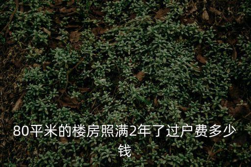 80平米的樓房照滿2年了過戶費多少錢