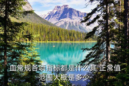 血常規正常值,血常規檢查項目的正常值及異常值是什么?
