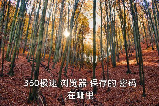 360極速 瀏覽器 保存的 密碼,在哪里