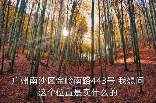 廣州南沙區(qū)金嶺南路443號 我想問這個位置是賣什么的