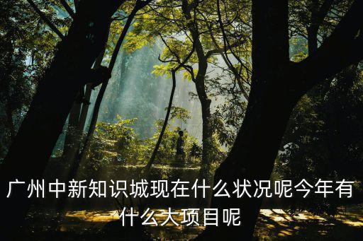 廣州知識城最新規(guī)劃圖，廣州地鐵規(guī)劃圖201514號支線 鐘落潭知識城