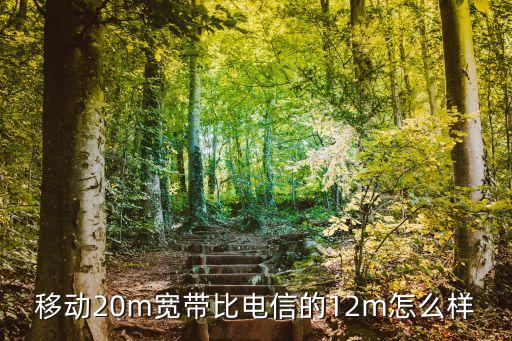 廣州移動20M和電信20M，電信20兆光纖和移動20兆光纖哪個好點