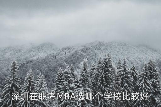 深圳在職考MBA選哪個學(xué)校比較好
