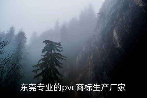 東莞專業的pvc商標生產廠家