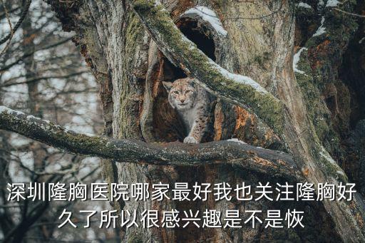 深圳隆胸以美 萊，深圳專業隆胸假體