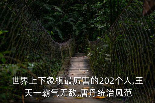 許銀川評價王天一,胡榮華評價許銀川