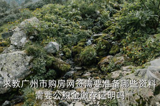 廣州網簽需要什么資料，求教廣州市購房網簽需要準備哪些資料需要公積金繳存證明嗎