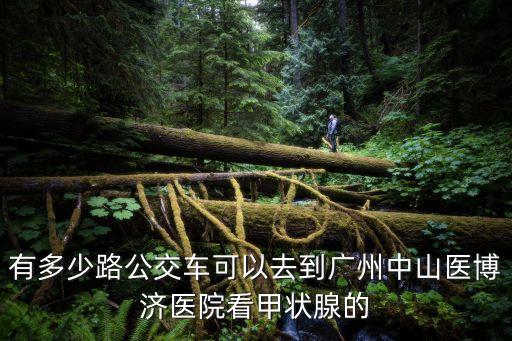 廣州醫博濟甲狀腺科，廣州中山醫博濟醫院甲亢治療中心是在哪里的啊聽說治甲亢不錯的