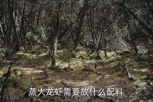 蒸籠圖片,不銹鋼蒸籠圖片