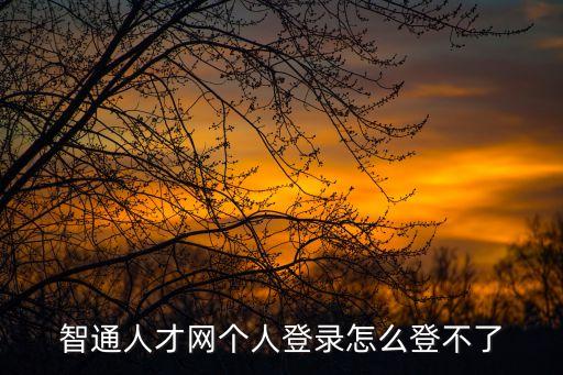 廣州智通人才網登錄，智通人才的個人會員登錄不上怎么解決呀 換一臺電腦就可以的 奇怪