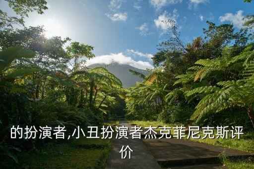 小丑的扮演者,小丑扮演者杰克菲尼克斯評價