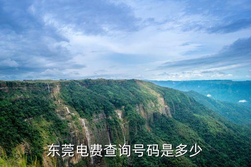 東莞南城電力局電話，東莞南城供電局在什么路