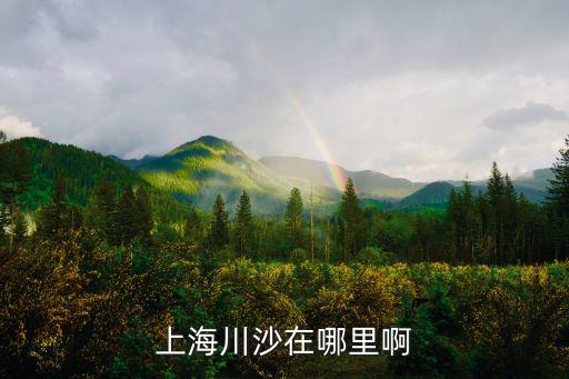 上海川沙在哪里啊