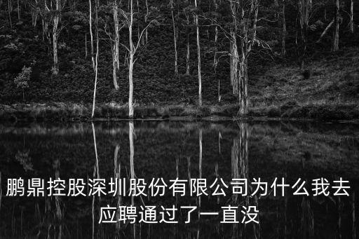 鵬鼎控股深圳股份有限公司為什么我去應(yīng)聘通過了一直沒