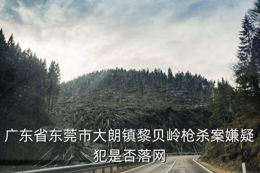廣東省東莞市大朗鎮(zhèn)黎貝嶺槍殺案嫌疑犯是否落網(wǎng)