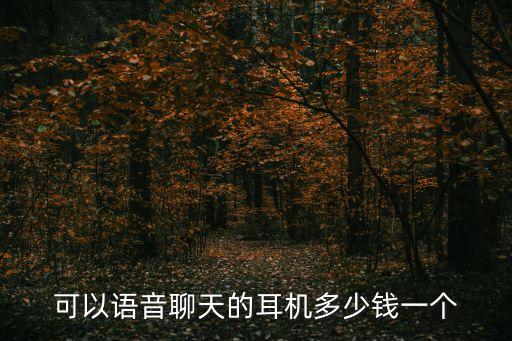 可以語音聊天的耳機多少錢一個
