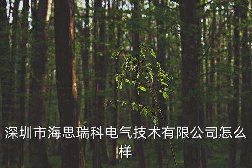 深圳市海思瑞科電氣技術有限公司怎么樣
