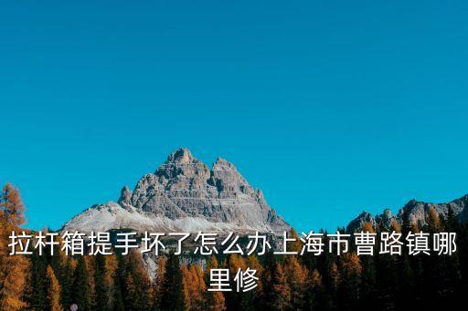 拉桿箱提手壞了怎么辦上海市曹路鎮哪里修