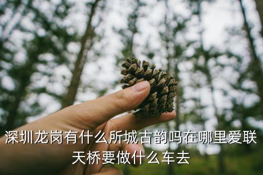 深圳劉氏宗親會在哪，深圳龍崗有什么所城古韻嗎在哪里愛聯天橋要做什么車去