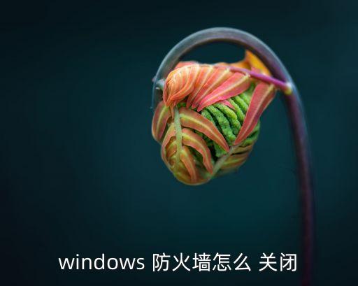 關(guān)閉網(wǎng)絡(luò)防火墻,網(wǎng)吧防火墻怎么關(guān)閉?win10怎么設(shè)置?