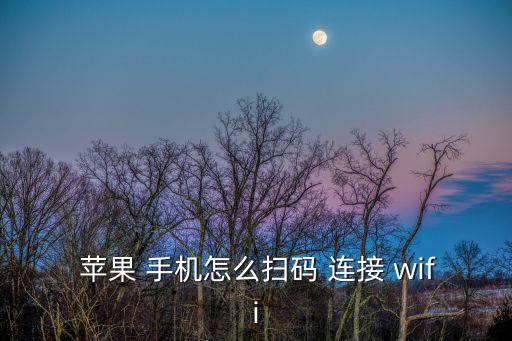  蘋果 手機怎么掃碼 連接 wifi