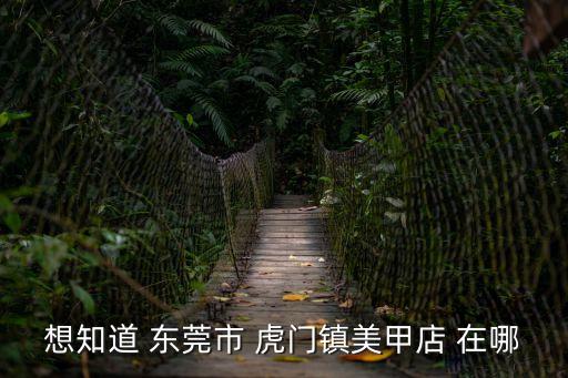 想知道 東莞市 虎門鎮美甲店 在哪