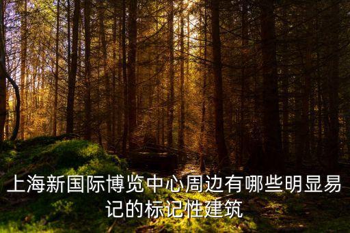 上海新國(guó)際博覽中心周邊有哪些明顯易記的標(biāo)記性建筑